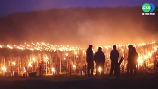 霜害襲法葡萄酒產地 農民點油燈驅寒