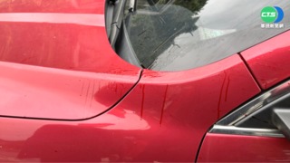 掃墓停車爆糾紛 男竟亮"槍"噴辣椒水