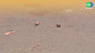 美國連續上演槍擊案 拜登:禁幽靈槍枝