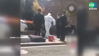 單日+1.7萬再創新高 上海急建方艙醫院