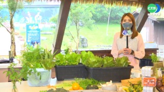 把握週末好天氣! 咱出發宜蘭逛綠博"趣"