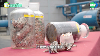 轉廢為能  造紙龍頭生質能轉型