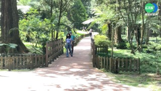 溪頭園區曝確診足跡 周邊飯店團客退光