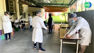 本土確診2969例！醫籲：放棄調查足跡