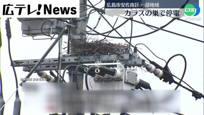 鳥巢築電線桿釀停電 廣島2480戶受影響 | 華視新聞