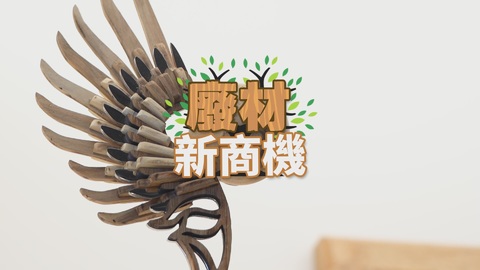 移除銀合歡大作戰｜廢材重生 綠色新商機｜華視新聞雜誌