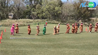 日本鳥取變裝跑步賽 群"龍"亂舞網笑翻