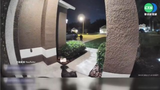 黑熊闖前院 美國佛州夫婦遛狗嚇奔逃