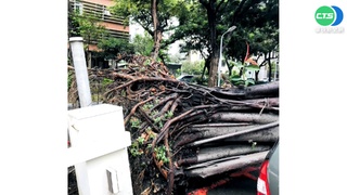 台南風大"吹斷"電桿 幸無砸中人車