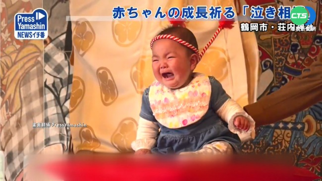 慶祝兒童節! 日本神社辦嬰兒"哭哭相撲" | 華視新聞