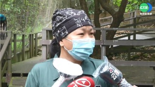 保育員辛苦了! 向"動物媽咪們"致敬