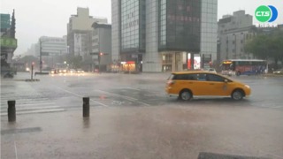 雨彈狂炸! 高雄清晨降暴雨 路樹應聲倒