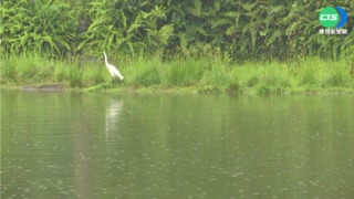 梅雨滯留鋒週五來襲 慎防致災性豪雨