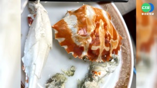 1斤880漲成1350元! 客怨口感差"非活蟹"