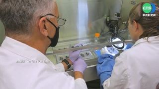 史上首次! 科學家用"月球土壤"種出植物