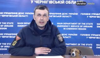 最萌狗英雄「派頓」 上節目打瞌睡還吼叫加拿大總理