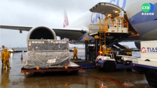 5-11歲輝瑞BNT兒童疫苗 最快25日開打