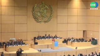 WHA將登場 5駐台機構發聲挺我參與