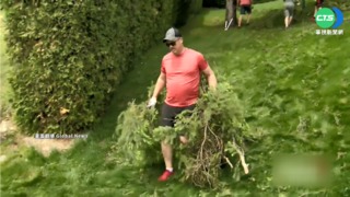 暴風雨狂襲加拿大東部 釀8死90萬戶停電