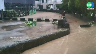 豪雨灌新北! 淡水.五股多處積水 樹倒路中