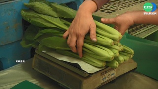 停實體課也停"營養午餐" 雲林大盤蔬菜滯銷