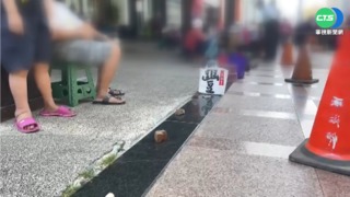 奇觀! 卡位領愛心粽 石頭.水瓶代排隊