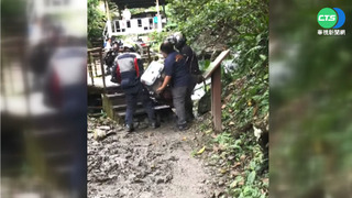 重機闖跑馬古道 林管處:會蒐證求償