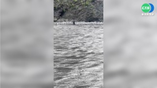 溯溪遭暴漲溪水沖走 夫獲救.妻失聯搜索中