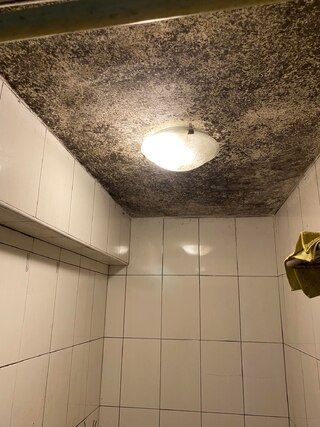 租屋一年竟長滿霉斑 網友笑說「抬頭看星空」