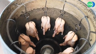 飼料價上揚 雞豬鴨產品平均批發價漲1-2成