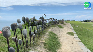 疫情衝擊觀光 台東風景區遊客銳減9成