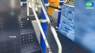 公園遊具綁刀割傷童 警破案7旬翁已病逝