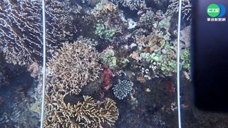 南方澳珊瑚礁遭插營釘 海保署澄清監測定位
