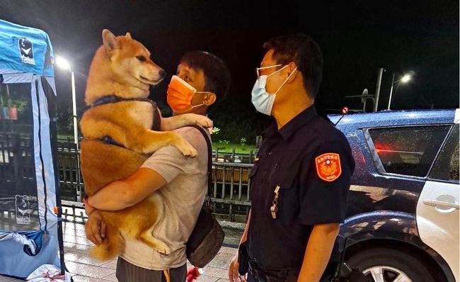 貪玩柴犬走失跳上小姐姐車 警PO網10分鐘找到主人 | 華視新聞