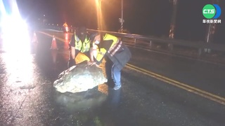 台8線200kg大石掉落 2警冒雨徒手搬不動