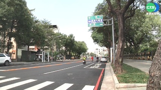 不只掌葉蘋婆 高雄"行道樹們"開花飄惡臭