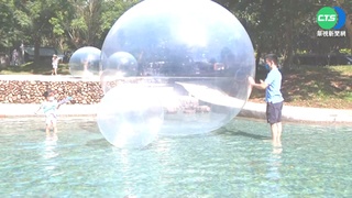消暑"趣" 親水公園人爆量 猴闖池泡水降溫