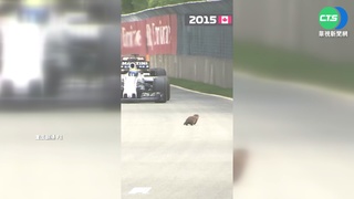 土撥鼠闖F1加拿大站 5秒超3車撿回小命