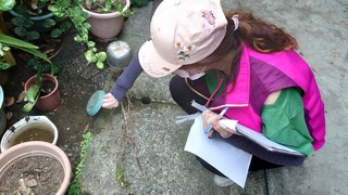 台南驚現首例日本腦炎！疾管署籲遠離高風險環境