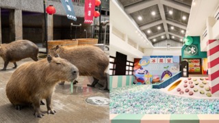 【懶人包】宜蘭國際童玩節來啦 盤點這些做夢都會笑的親子飯店！