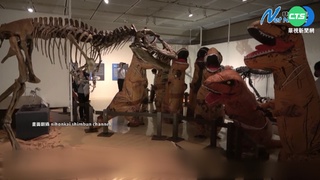 日博物館辦特展 邀民眾扮"暴龍"看恐龍