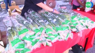 嗆辣好滋味! 台中大安蔥活動吸2千人報名