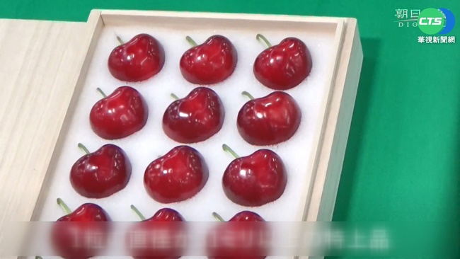 日本高級"心型櫻桃"首拍 1顆4萬日幣天價 | 華視新聞