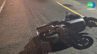 閃路邊竄出野狗 騎士摔車"腦出血"昏迷