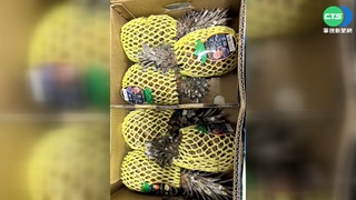 日人訂台鳳梨贈孤兒院全發霉? 農委會澄清