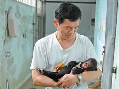 保育員邱石柱先生抱著小黑熊寶寶 / 圖片來源 Shou Shan Zoo 壽山動物園 臉書