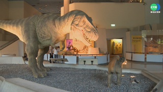 夜探恐龍找刺激! 科博館暑假延2HR閉館