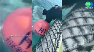 挪威鯨魚卡浮標無法動彈 海岸防衛隊助脫困!