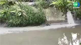 工廠雨天偷排廢油 遭民眾抓包竟還嗆聲