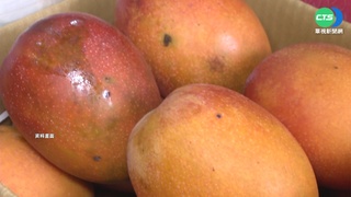 澳門媒:台芒果3天2檢出新冠病毒 全數銷毀